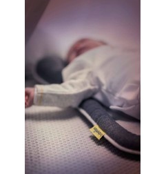 COSYMORPHO SMOKEY (REDUCTEUR UNIVERSEL)