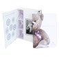 BOITE TRESORS +LIVRE NAISSANCE LITTLE BEARLITTLE B