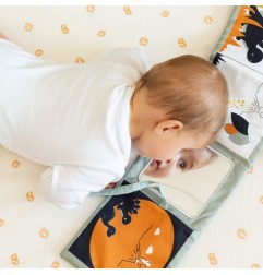 LIVRE D'EVEIL-DIPLODODO