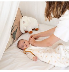 GIGOTEUSE 0-6M-DIPLODODO TOG 2,5