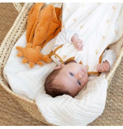 GIGOTEUSE 0-6M-DIPLODODO TOG 2,5