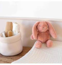 PELUCHE MUSICALE