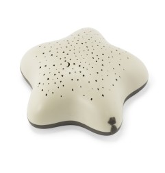 PROJECTEUR D'ETOILES DANS LES BOIS