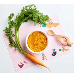 Mon mitonné de carottes et bœuf 6M