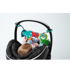 GEORGES EN PROMENADE