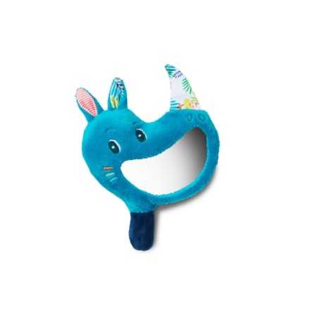 MARIUS HOCHET MIROIR