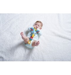 CARILLON THOMAS LE LAPIN