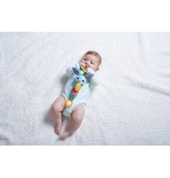 CARILLON THOMAS LE LAPIN