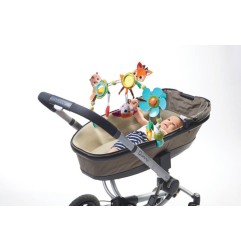 ARCHES ARTICULEES MUSICALE - DANS LA FORET