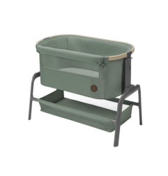 MC IORA BEYOND GREEN