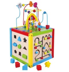 JOUET D'ACTIVITE 5 EN 1