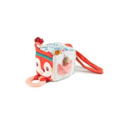 ALICE CUBE D'ACTIVITES